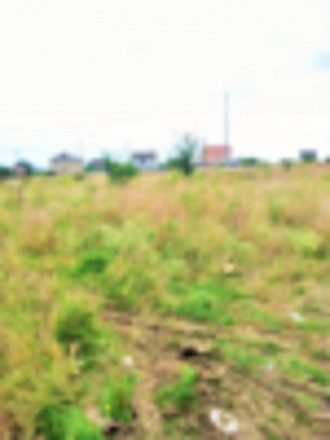 Продам земельный участок в СК"Витамин" село Нерубайское Одесской области Беляевс. Нати. фото 3