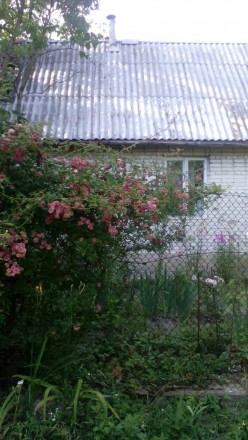 Цегляний дачний будинок в селі Скнилів (недалеко від церкви, в кооперативі "Бере. Скнилів. фото 2