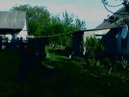 Сдам дом в Киевской области, Сквирском районе, с Лаврики порядочной семье недоро. Лаврики. фото 2