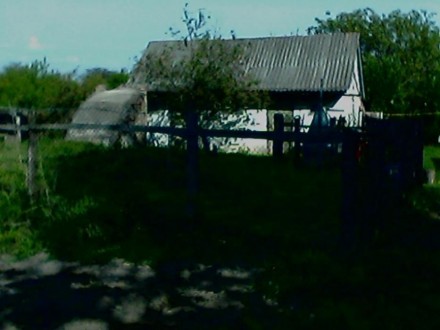 Сдам дом в Киевской области, Сквирском районе, с Лаврики порядочной семье недоро. Лаврики. фото 5