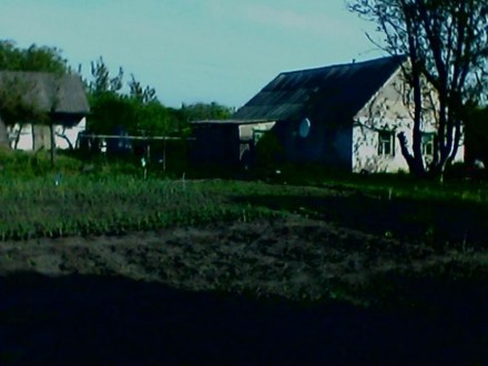 Сдам дом в Киевской области, Сквирском районе, с Лаврики порядочной семье недоро. Лаврики. фото 3