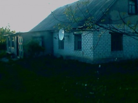 Сдам дом в Киевской области, Сквирском районе, с Лаврики порядочной семье недоро. Лаврики. фото 4