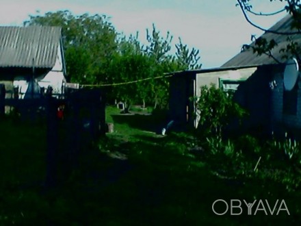 Сдам дом в Киевской области, Сквирском районе, с Лаврики порядочной семье недоро. Лаврики. фото 1