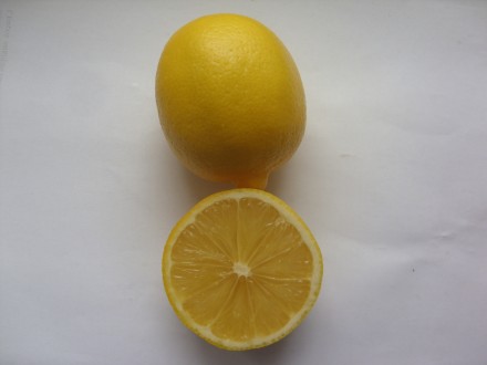 Продам саженцы лимона Мейера.. . фото 4