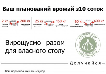 Продам посадочный материал воздушку элитного чеснока Любаша 

Компания ecoltav. . фото 5