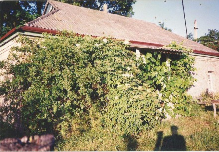 Продается дом с участком 100 соток, Киевская область, Яготинский р-н, село Ничип. Ничипоровка. фото 2