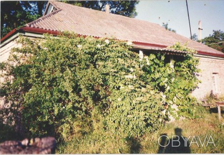 Продается дом с участком 100 соток, Киевская область, Яготинский р-н, село Ничип. Ничипоровка. фото 1