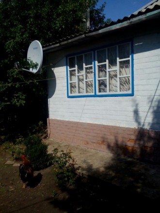  Продам дом в красочном селе Скрипаи Харьковская область 40 кв.м. 2 комнаты кухн. . фото 2