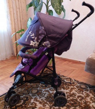 Прогулочная коляска Geoby D208R отлично подойдет для летних прогулок с малышом. . . фото 3