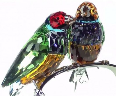 Aмадина Гульда - очень красивая маленькая птичка, похожая на попугайчика, но гул. . фото 3
