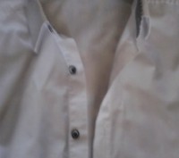 Рубашка белая с коротким рукавом LORENTI, х/б (коттон),  длина спинки - 66,5 см,. . фото 4