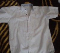 Рубашка белая с коротким рукавом LORENTI, х/б (коттон),  длина спинки - 66,5 см,. . фото 2