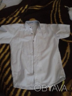Рубашка белая с коротким рукавом LORENTI, х/б (коттон),  длина спинки - 66,5 см,. . фото 1