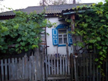 Дом в с.Козацкое жылой есть летняя кухня с баней колодязь во дворе 500 м до цент. . фото 3