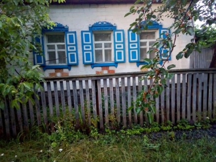 Дом в с.Козацкое жылой есть летняя кухня с баней колодязь во дворе 500 м до цент. . фото 2