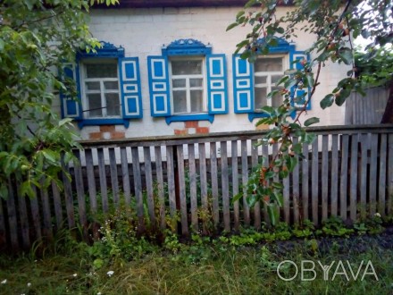 Дом в с.Козацкое жылой есть летняя кухня с баней колодязь во дворе 500 м до цент. . фото 1