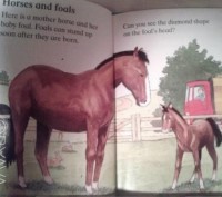 Английский для маленьких. Обучающие книги: Animal words, Busy days, Farmyardstor. . фото 9