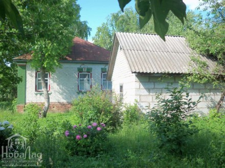 Продается дом по дороге Чернигов - Киев село Чемер   
... теплый добротный жило. Козелец. фото 2