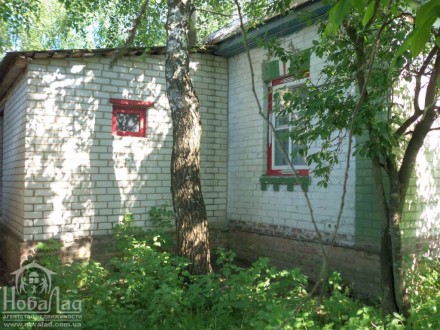 Продается дом по дороге Чернигов - Киев село Чемер   
... теплый добротный жило. Козелец. фото 8