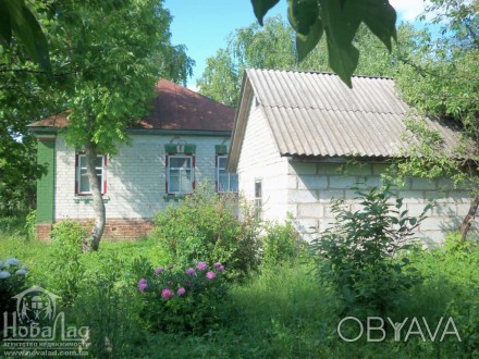 Продается дом по дороге Чернигов - Киев село Чемер   
... теплый добротный жило. Козелец. фото 1