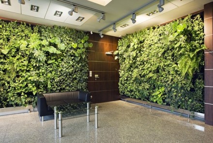 Предоставляю услуги по уходу за комнатными растениями в офисах, бизнес-центрах, . . фото 3